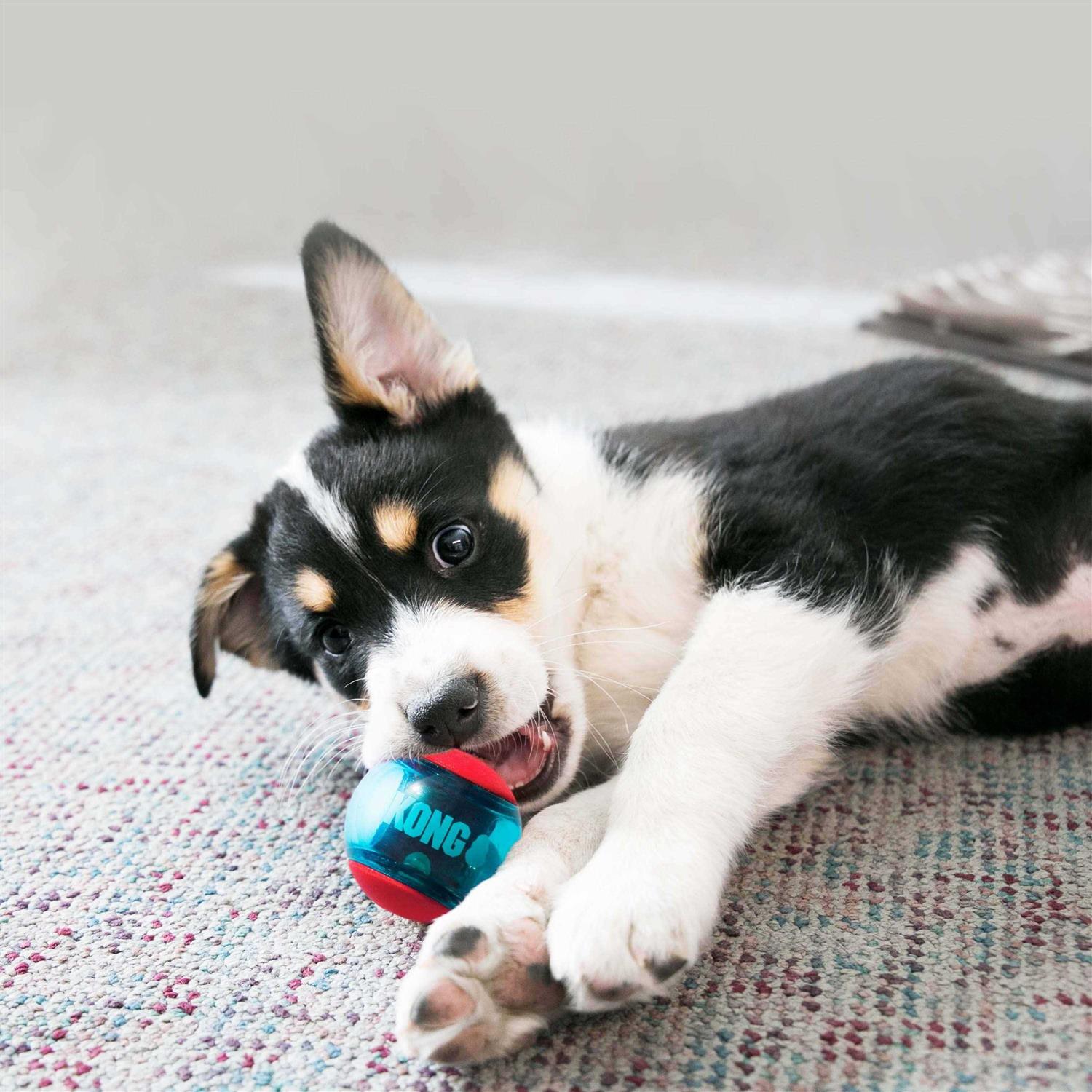 Squeezz Action Ball Dog Toy N53890