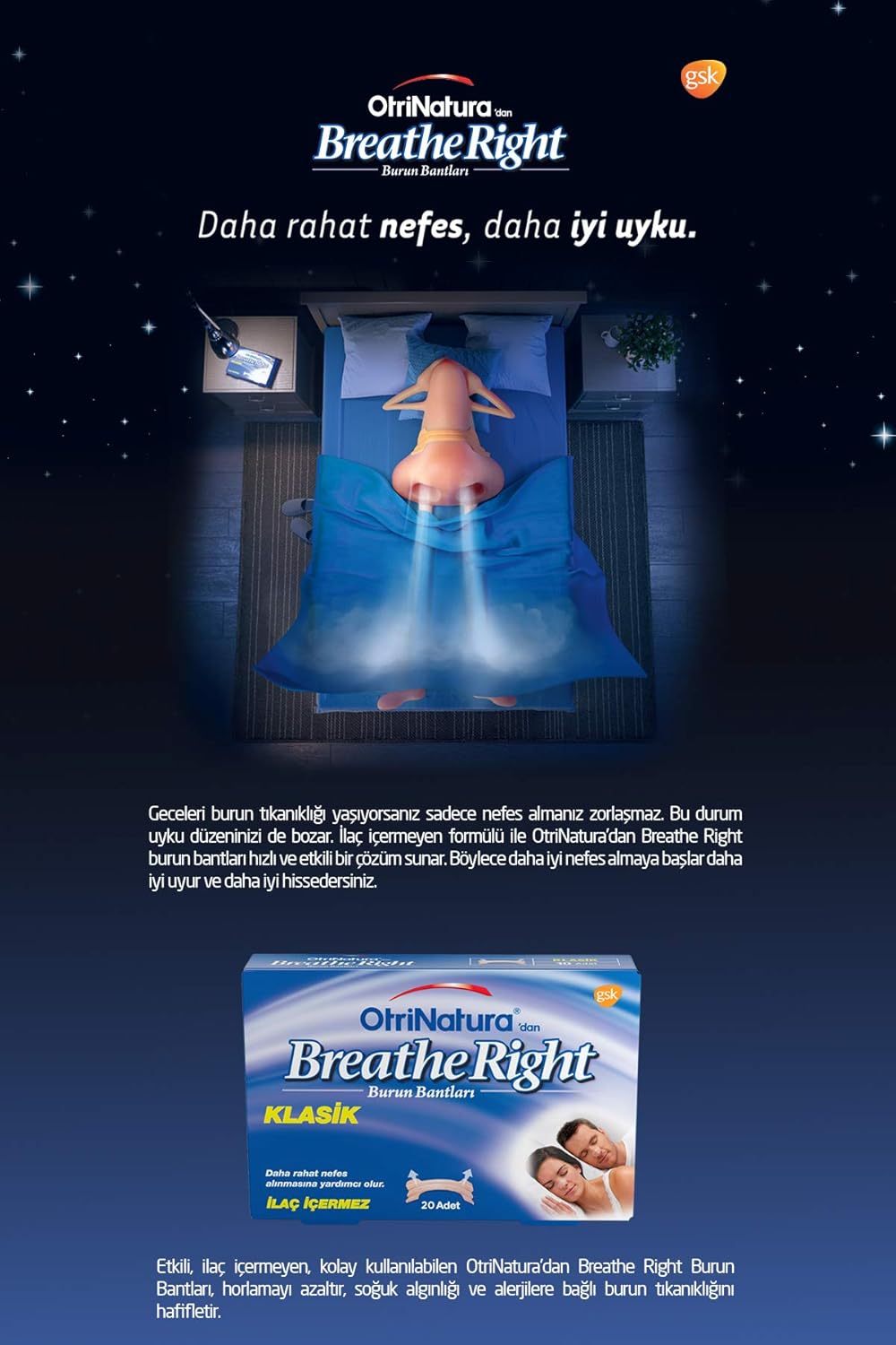 Natural Regular 10 Nasal Strips Z103