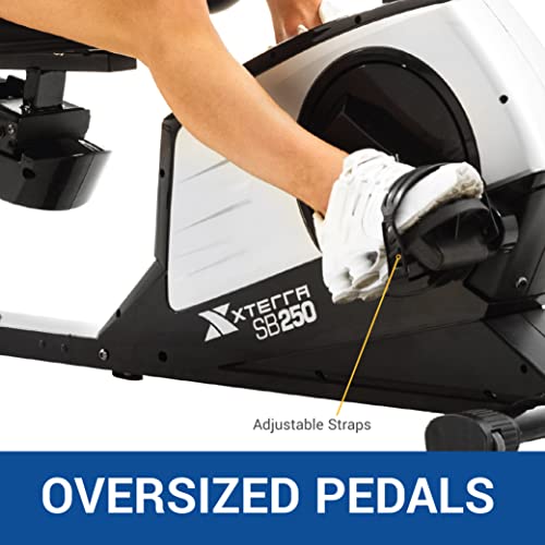 Recumbent Bike Y648