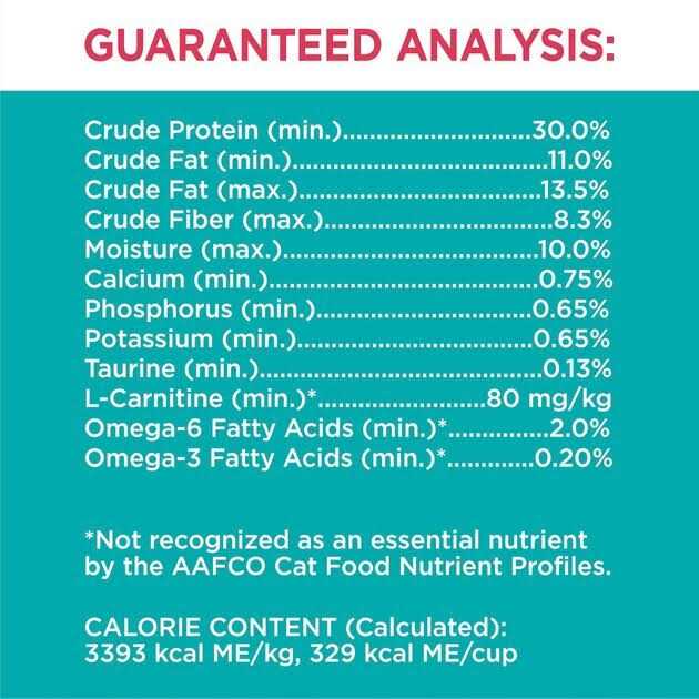 Salmon Adult Dry Cat Food X9994