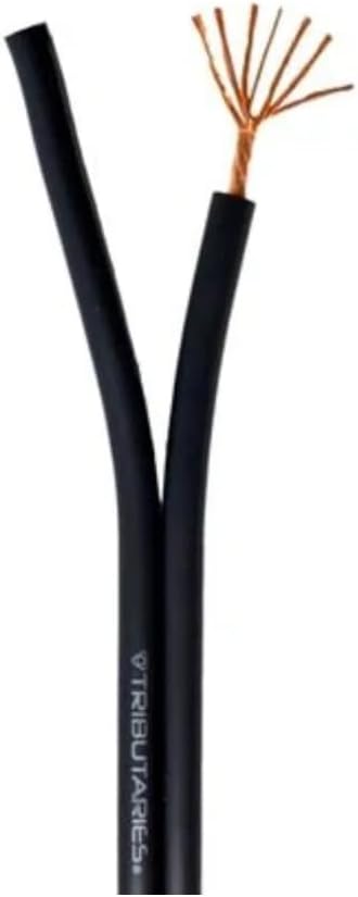 Ebony Floorstanding Speakers with Speaker Wire C493