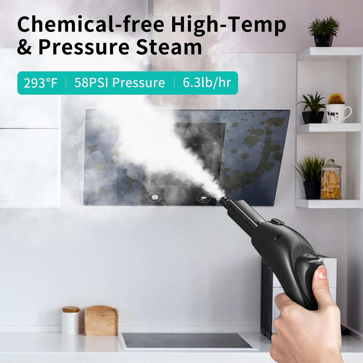 Steam Cleaner T746953