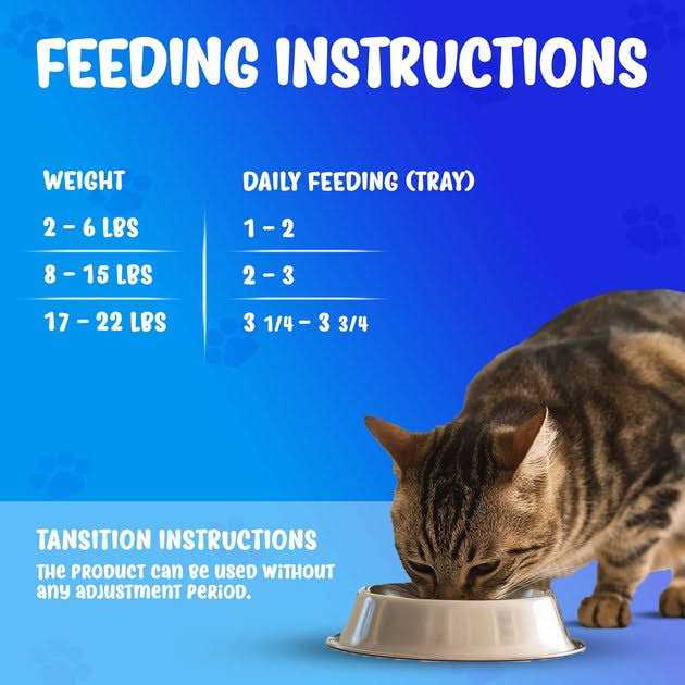 Renal Support Wet Cat Food C8797