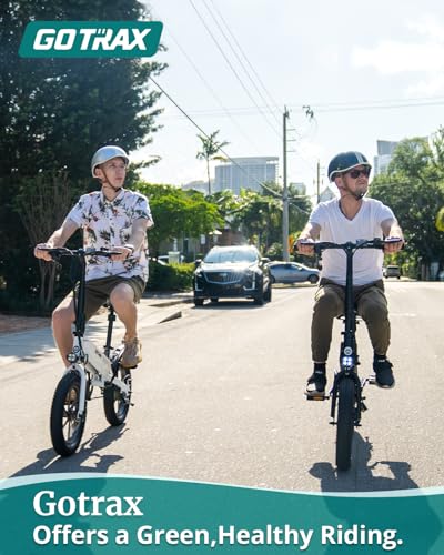 16x3.0 Fat Tire Folding Electric Bike with Removable Battery X7799