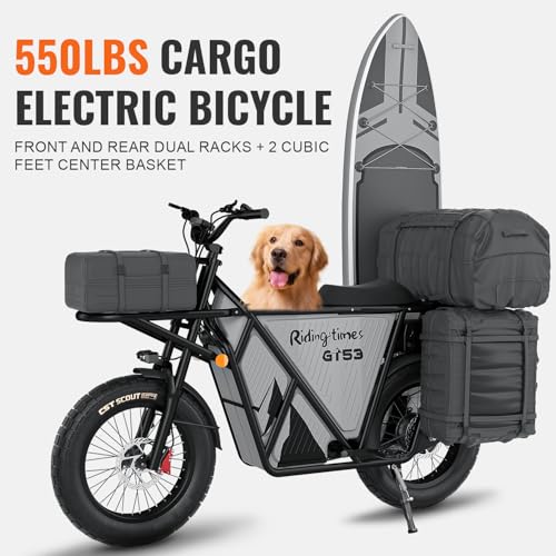 2000W Electric Cargo Bike with 1123WH Removable Battery B6050