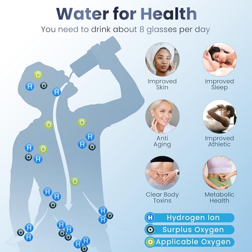 Silver Hydrogen Water Bottle W29226