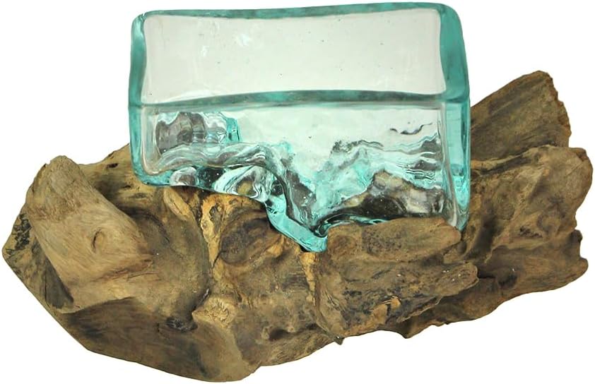 Rectangular Glass On Driftwood Decorative Bowl Q312970