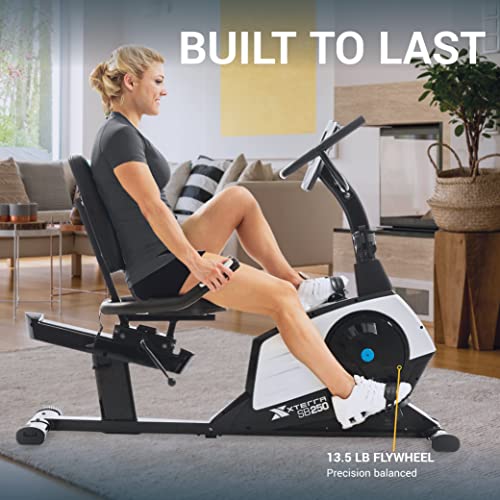 Recumbent Bike Y648