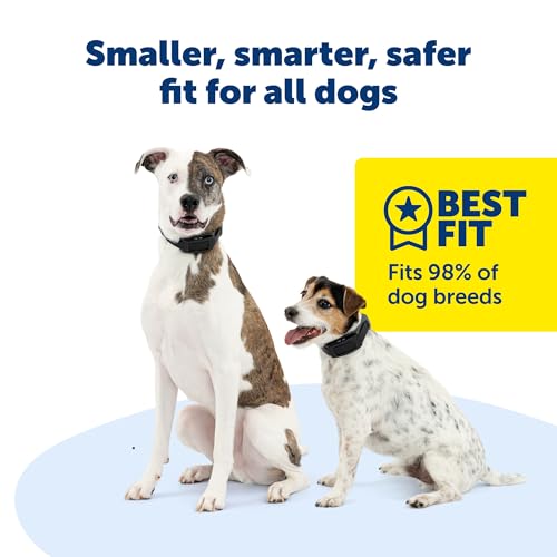 Wireless Dog Fence with GPS Tracking C772