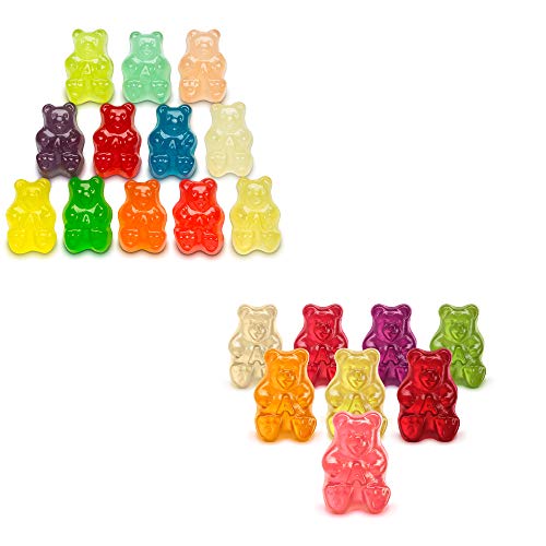 12 Flavor Gummi Bears, 1 Ounce Bag of Candy (Pack of 200) X559