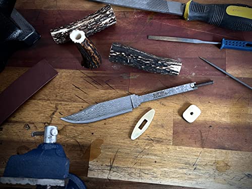 Stainless Steel Bowie Knife Blank Blade O80734