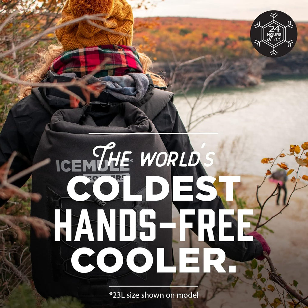 Collapsible Backpack Cooler, 23 Liter, Waterproof J21496