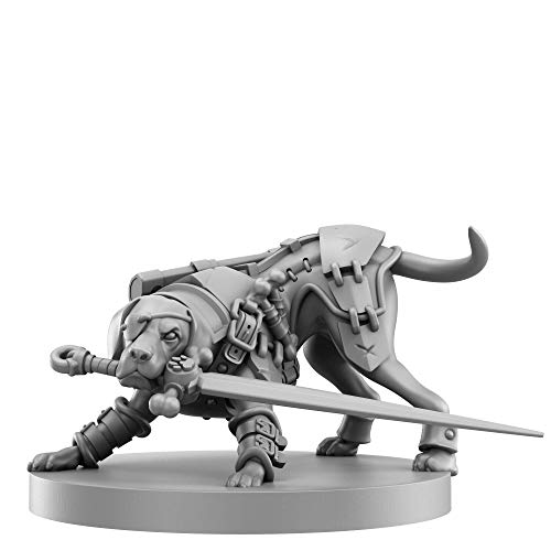 Starter Set Roleplaying Tabletop Game Z9878