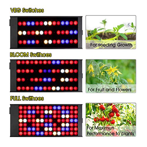 300W Full Spectrum Led Grow Light with 4 Dimmable Levels U2689