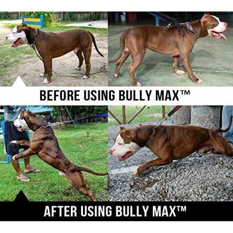 Bully Max Canine Supplement P74843