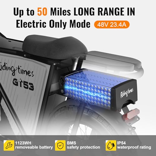 2000W Electric Cargo Bike with 1123WH Removable Battery B6050