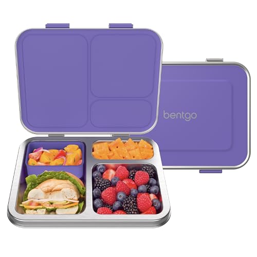Stainless Steel Leak-Resistant Lunch Box, 3-Compartments with Silicone Container, Dishwasher Safe, BPA-Free (Fuchsia) O61056