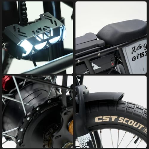 2000W Electric Cargo Bike with 1123WH Removable Battery B6050