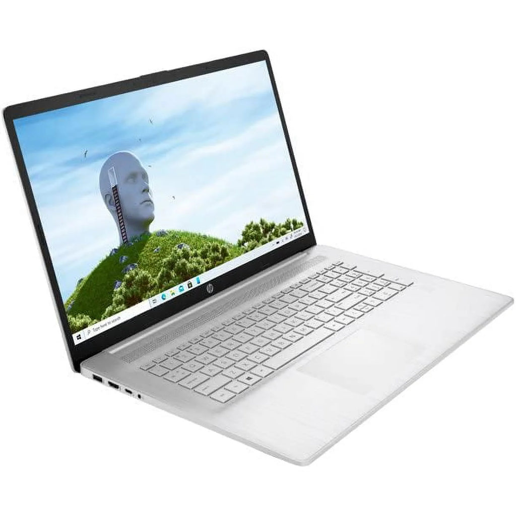 17.3 FHD IPS Laptop with Intel i7-1165G7 Processor 32GB DDR4 512GB NVMe SSD Natural Silver Windows 11 Pro T155224