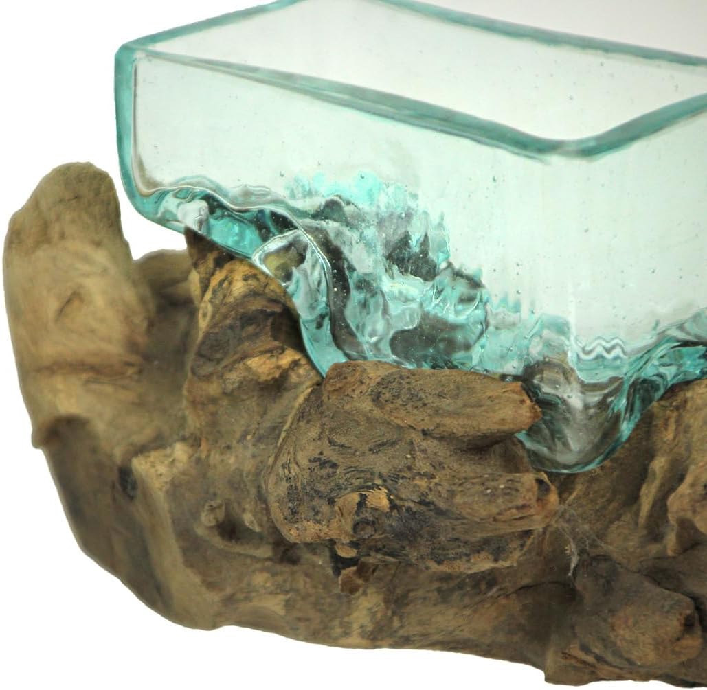Rectangular Glass On Driftwood Decorative Bowl Q312970