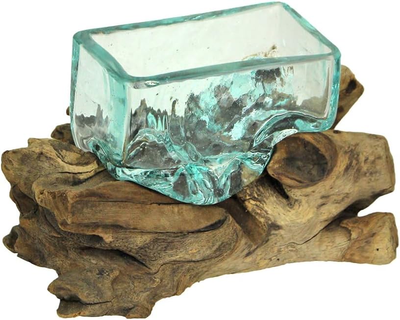 Rectangular Glass On Driftwood Decorative Bowl Q312970