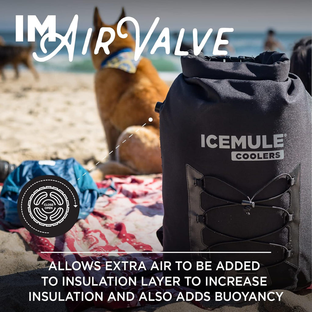 Collapsible Backpack Cooler, 23 Liter, Waterproof J21496