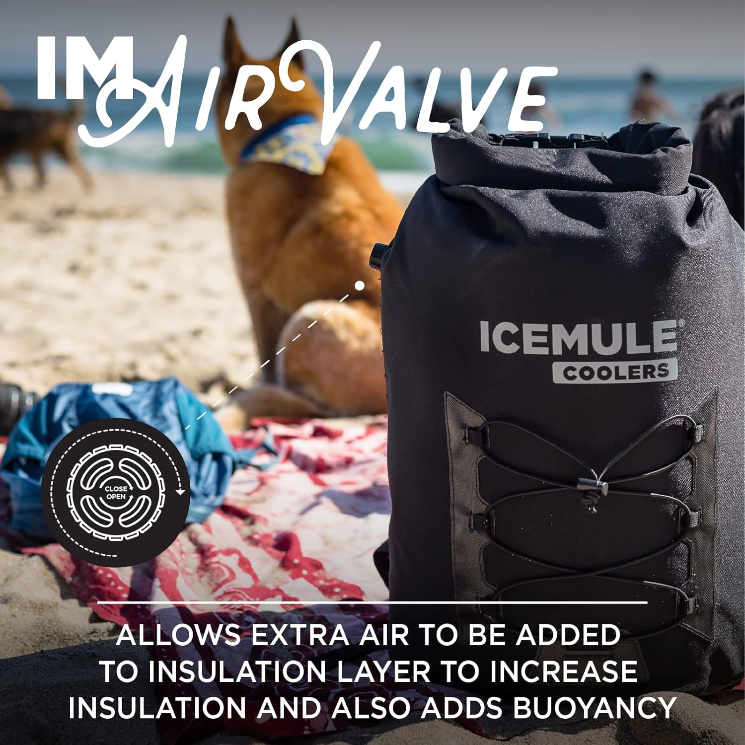 Collapsible Backpack Cooler, 23 Liter, Waterproof J21496