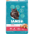 Salmon Adult Dry Cat Food X9994