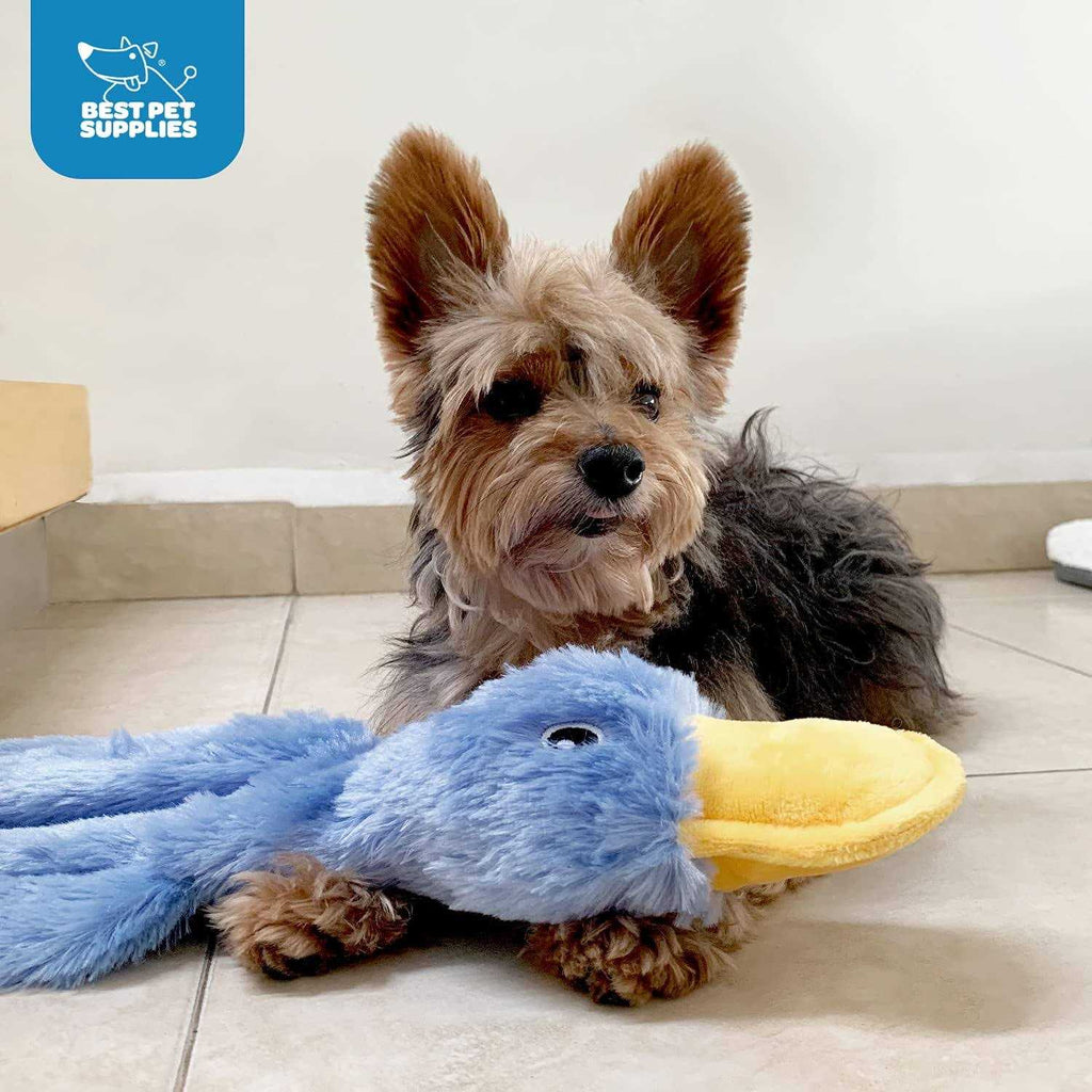 Crinkle Dog Toy No Stuffing Duck with Soft Squeaker C234