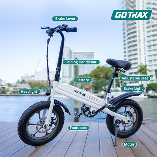 16x3.0 Fat Tire Folding Electric Bike with Removable Battery X7799