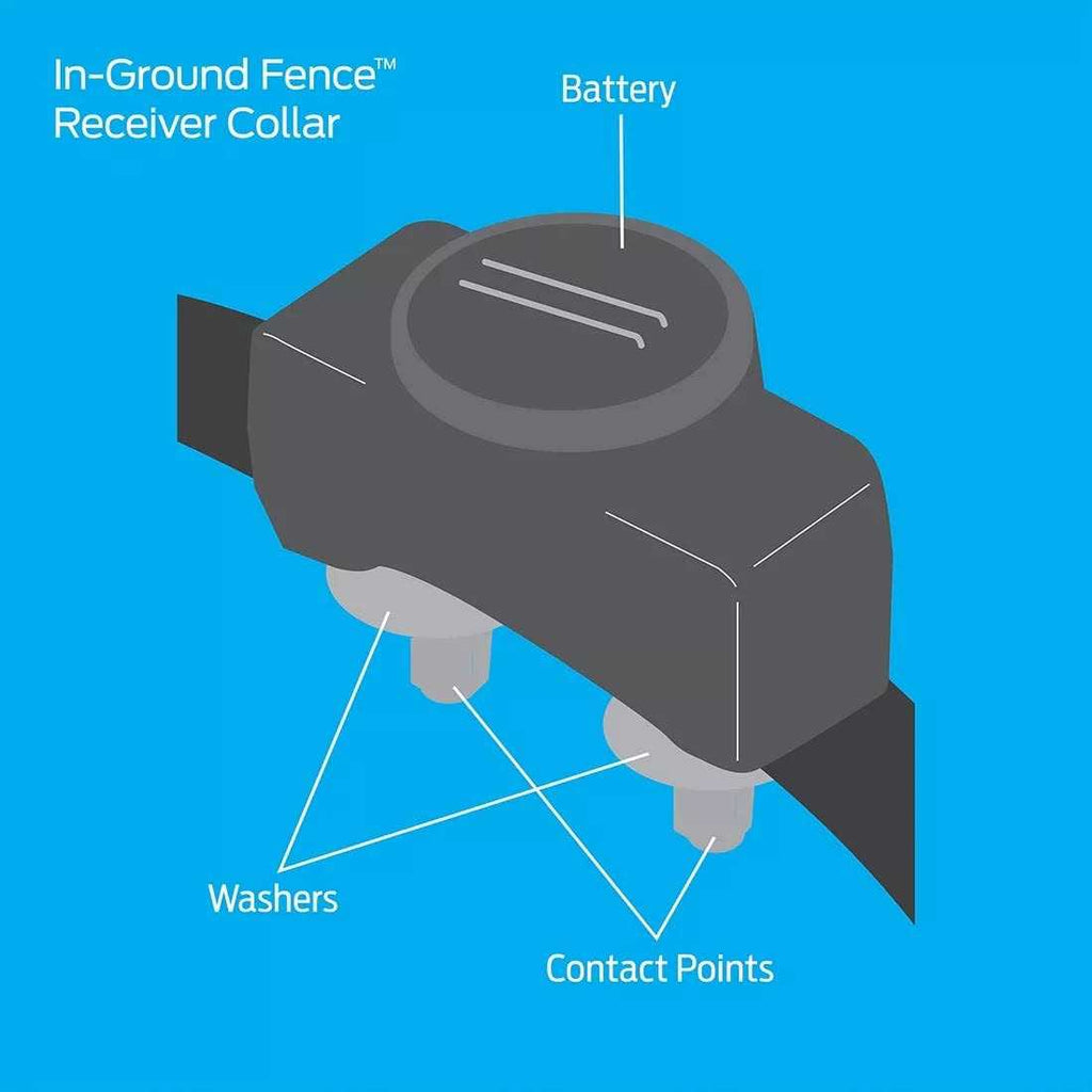 In-Ground Add-A-Dog Adds Unlimited Dogs to In-Ground Fence, Additional or Replacement Collar W65164