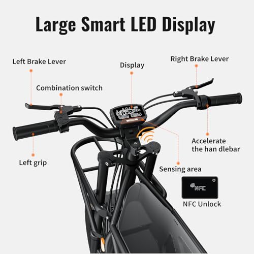 2000W Electric Cargo Bike with 1123WH Removable Battery B6050