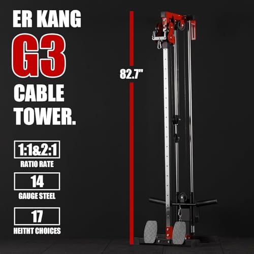 Wall Mount Cable Station with Dual Pulley System Z1244