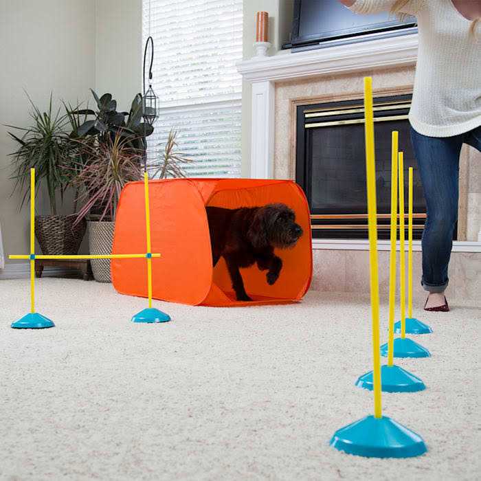 Indoor Dog Agility Kit P917228