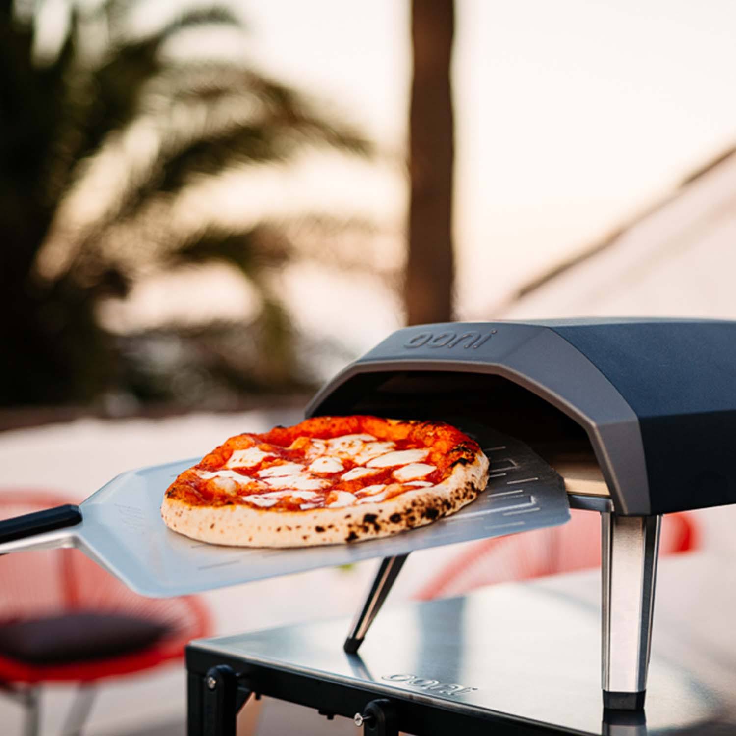 Gas-Powered Outdoor Pizza Oven G402498
