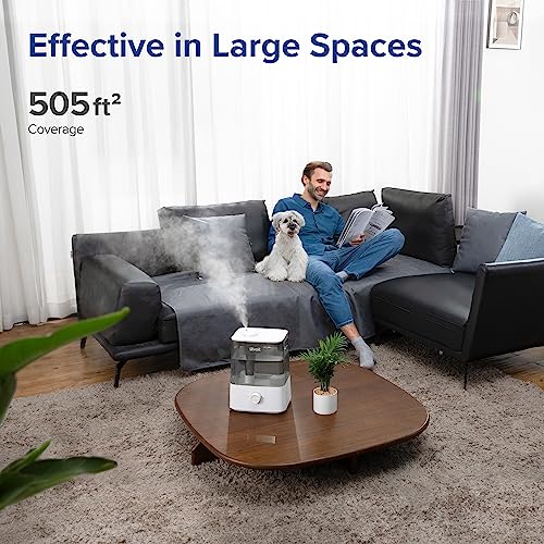 6L Smart Cool Mist Top Fill Humidifier, Gray C282031