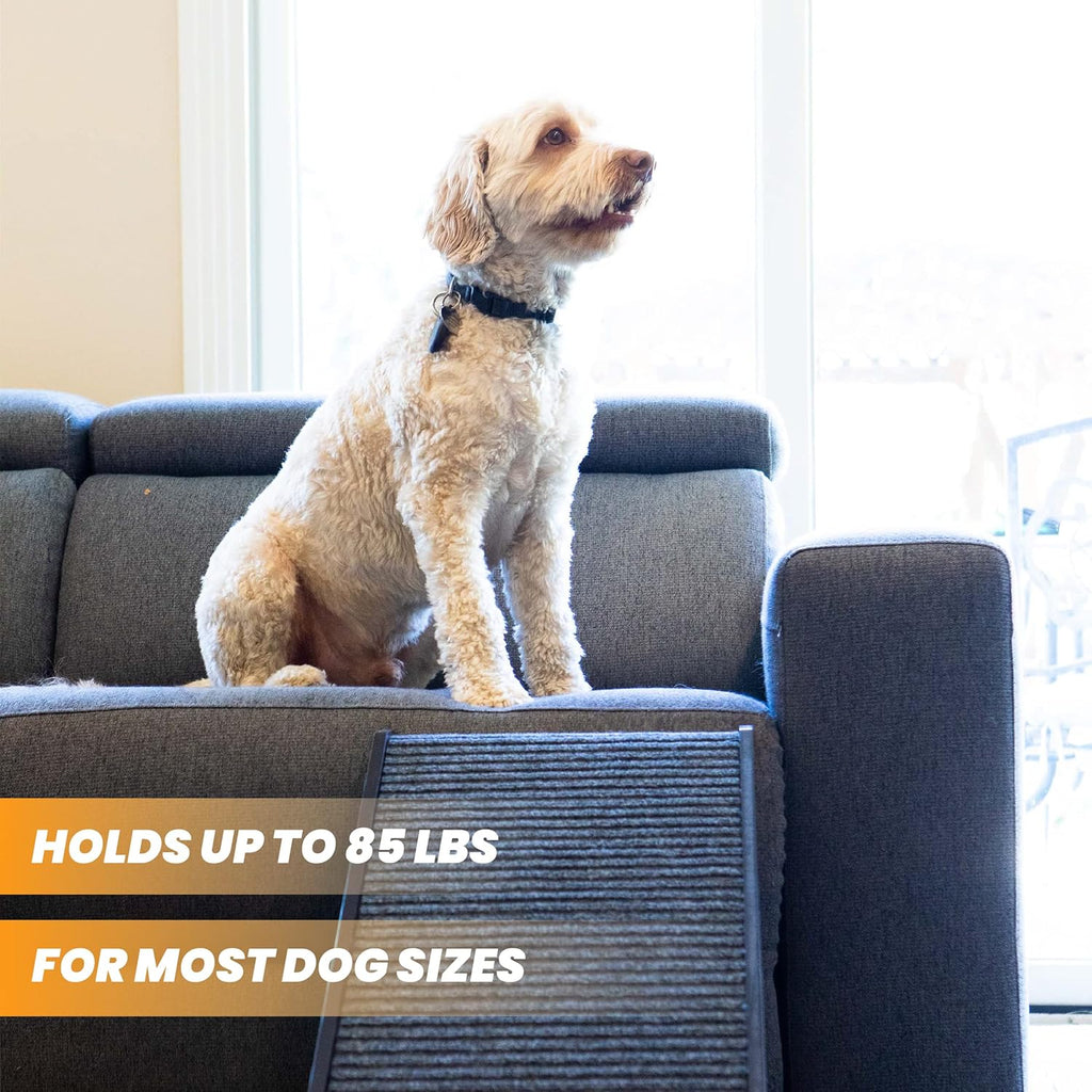 Folding Dog Ramp for Bed or Couch P9847