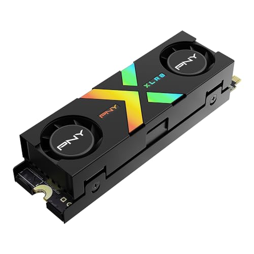 1TB PCIe Gen5 x4 NVMe M.2 SSD with Dual Fan Black Heatsink K3899