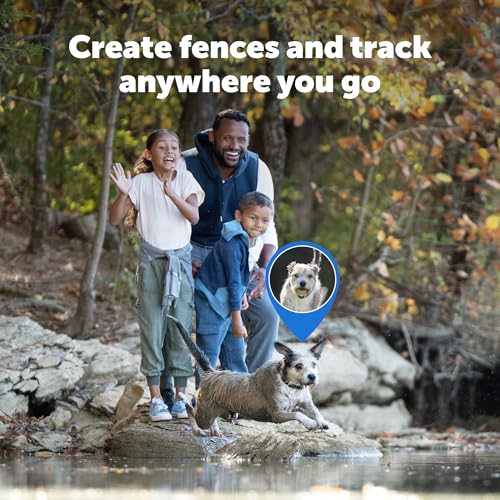 Wireless Dog Fence with GPS Tracking C772