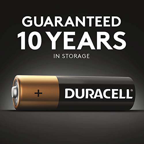 AA Alkaline Batteries, 24 per Box V63890