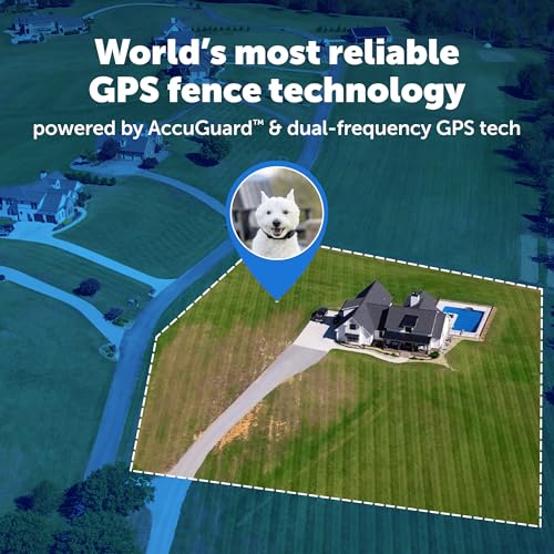 Wireless Dog Fence with GPS Tracking C772