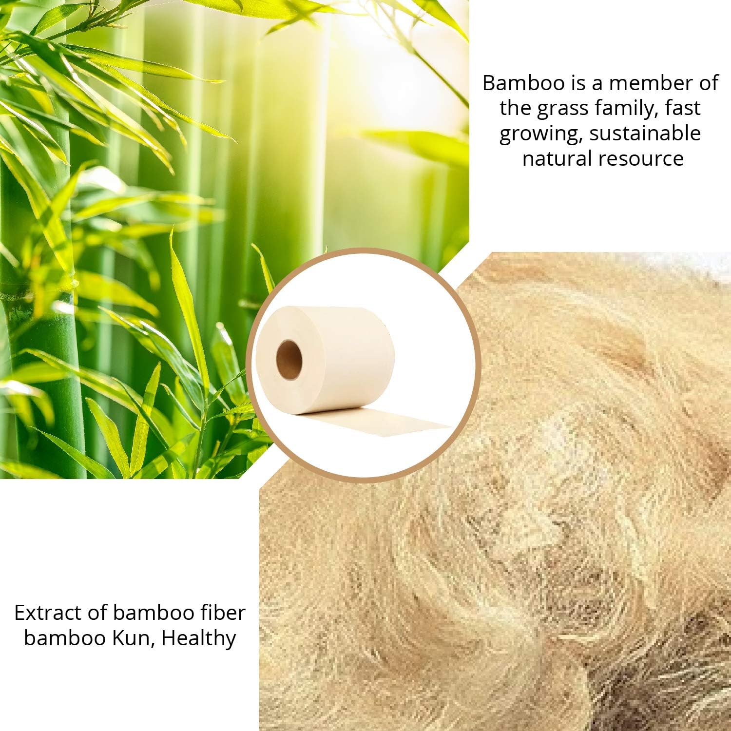 40 Mega Rolls Bamboo Toilet Paper, 10000 Sheet Count W514955