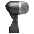 Instrument Microphone R5363