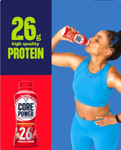 10 Pack Chocolate Vanilla Strawberry Protein Shake X646