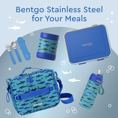 Stainless Steel Leak-Resistant Lunch Box, 3-Compartments with Silicone Container, Dishwasher Safe, BPA-Free (Fuchsia) O61056