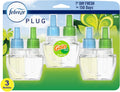 Gain Original Starter Kit & 4 Oil Refills E2110