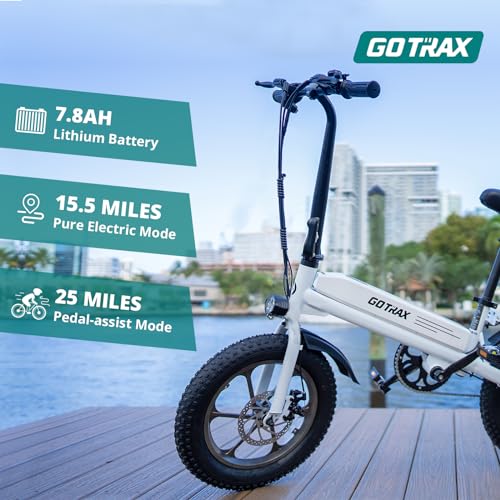 16x3.0 Fat Tire Folding Electric Bike with Removable Battery X7799