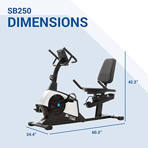Recumbent Bike Y648