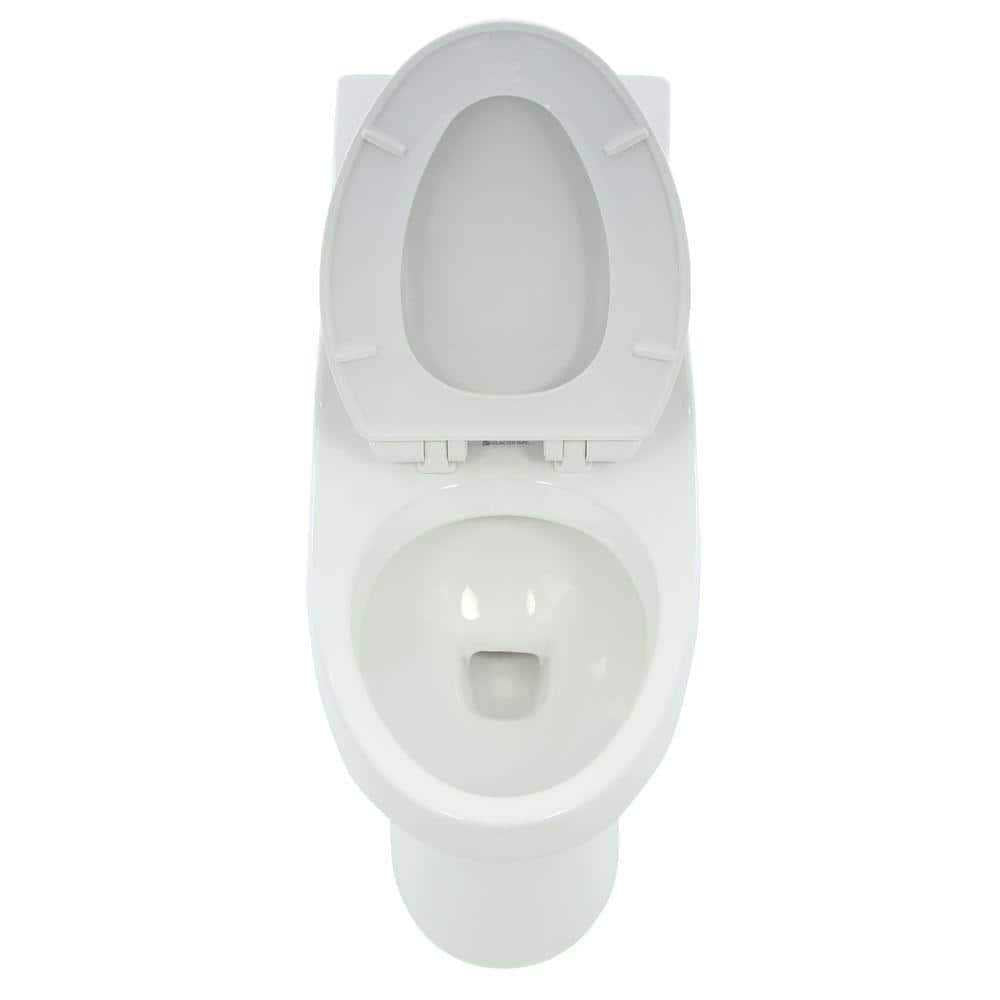 White 1-piece Dual Flush Elongated Toilet H878610