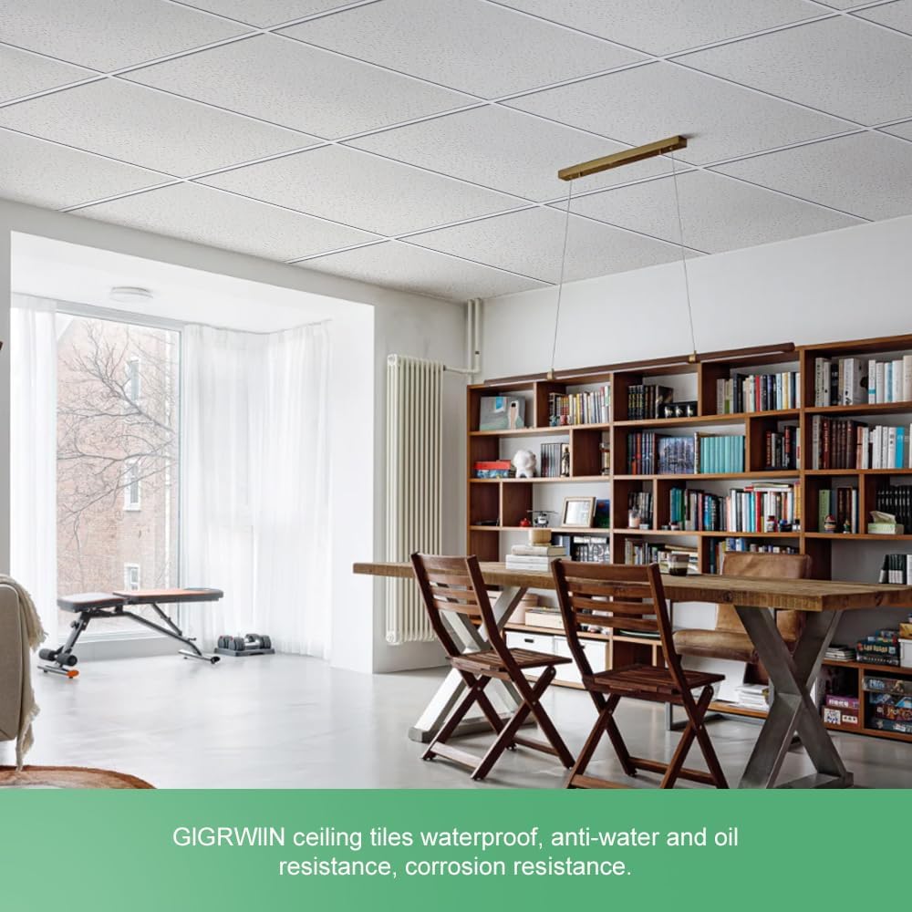 2ft x 4ft PVC Ceiling Tiles, Package of 10 O682